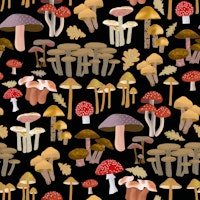 Mushroom Kingdom Art 2 tapete