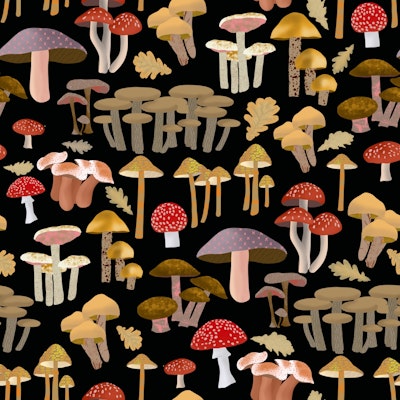 Pattern