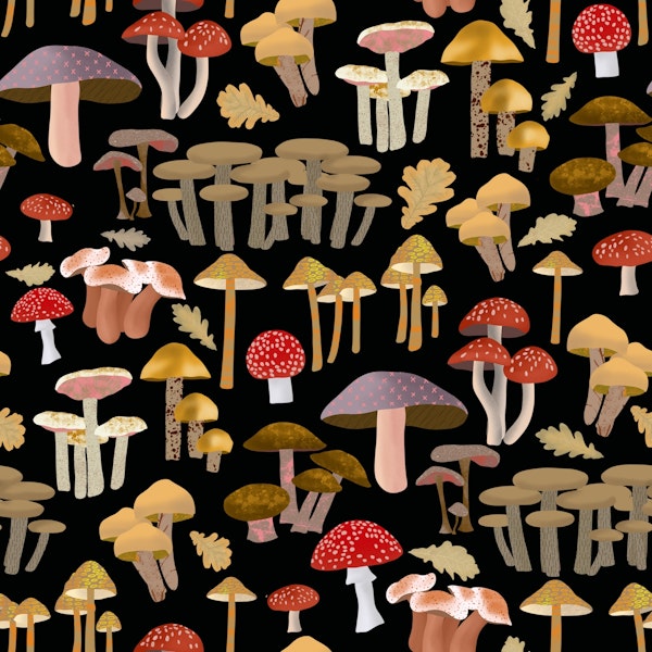 Mushroom Kingdom Art 2