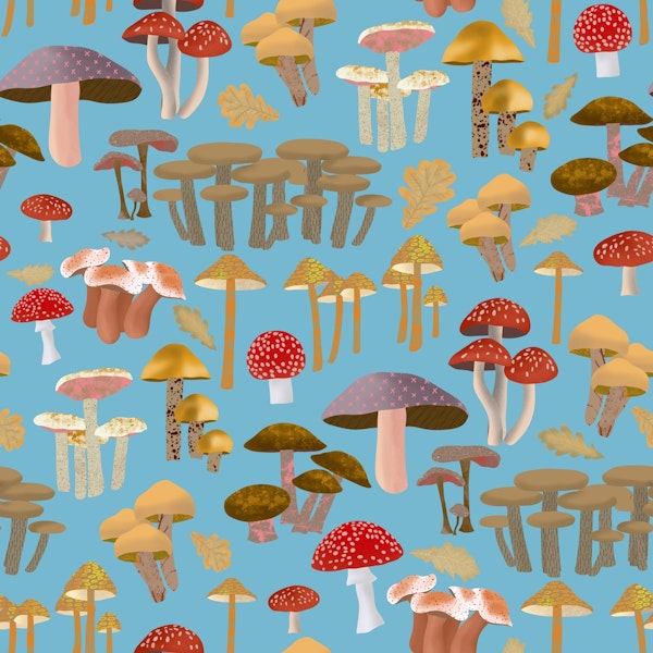 Mushroom Kingdom Art 3