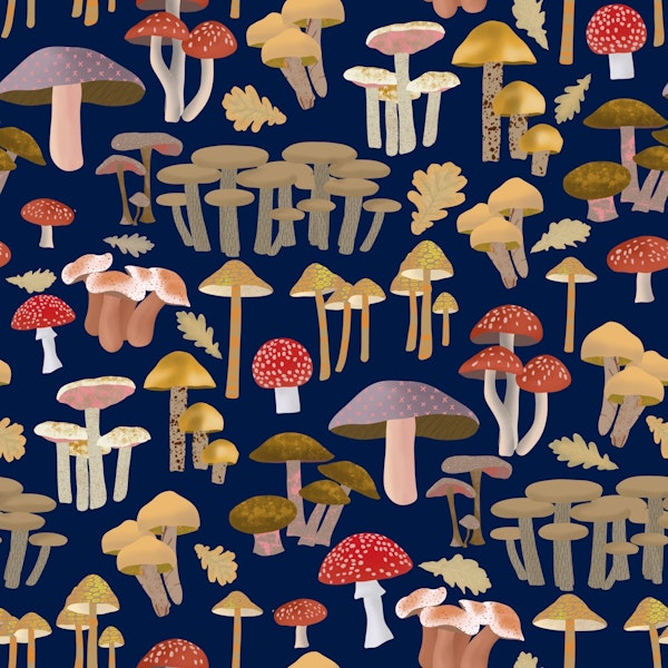 Mushroom Kingdom Art 5