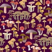 Mushroom Kingdom Art 6 tapete