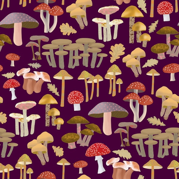 Mushroom Kingdom Art 6