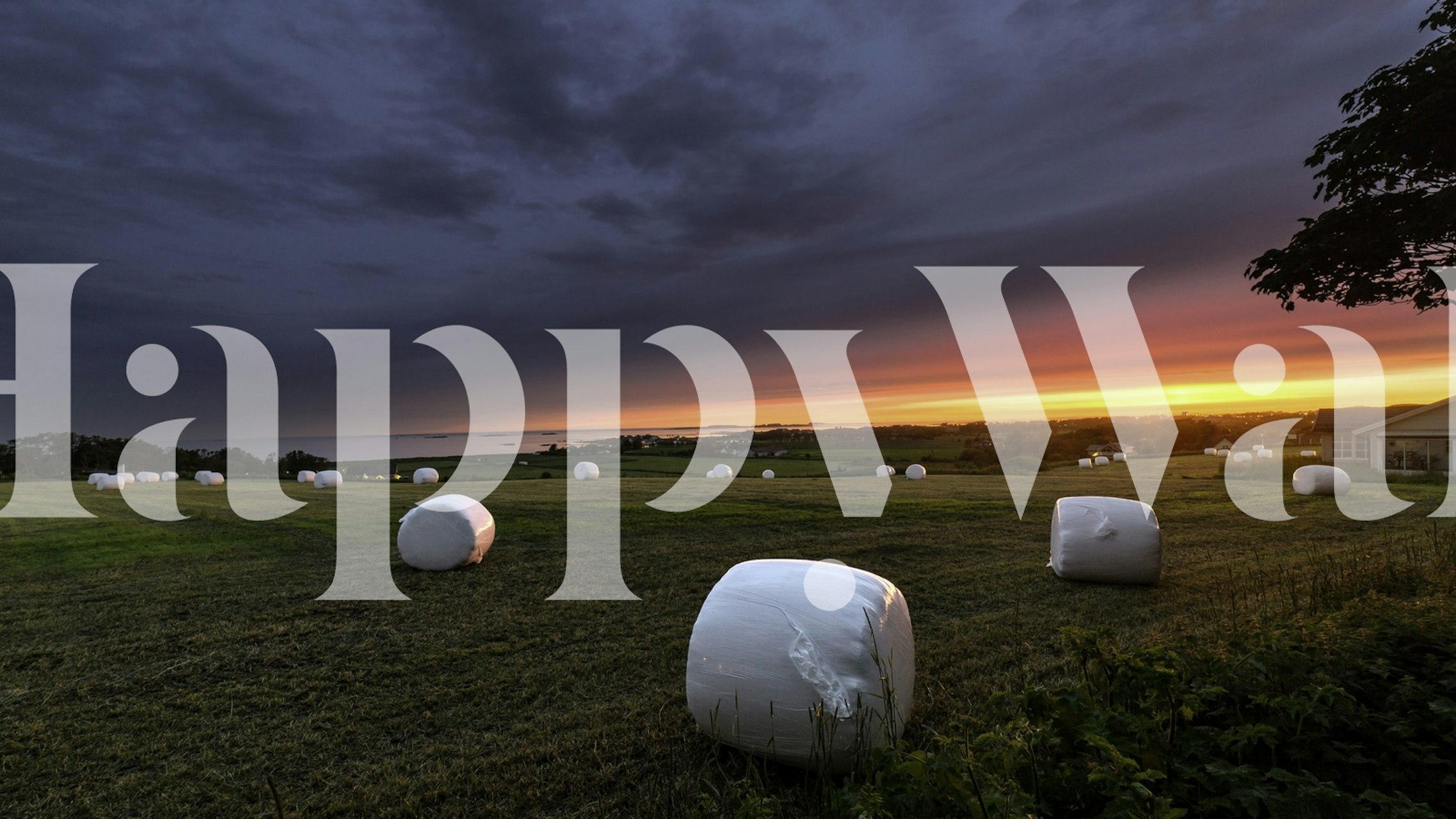 Countryside farmland at sunset with hay bales wall mural