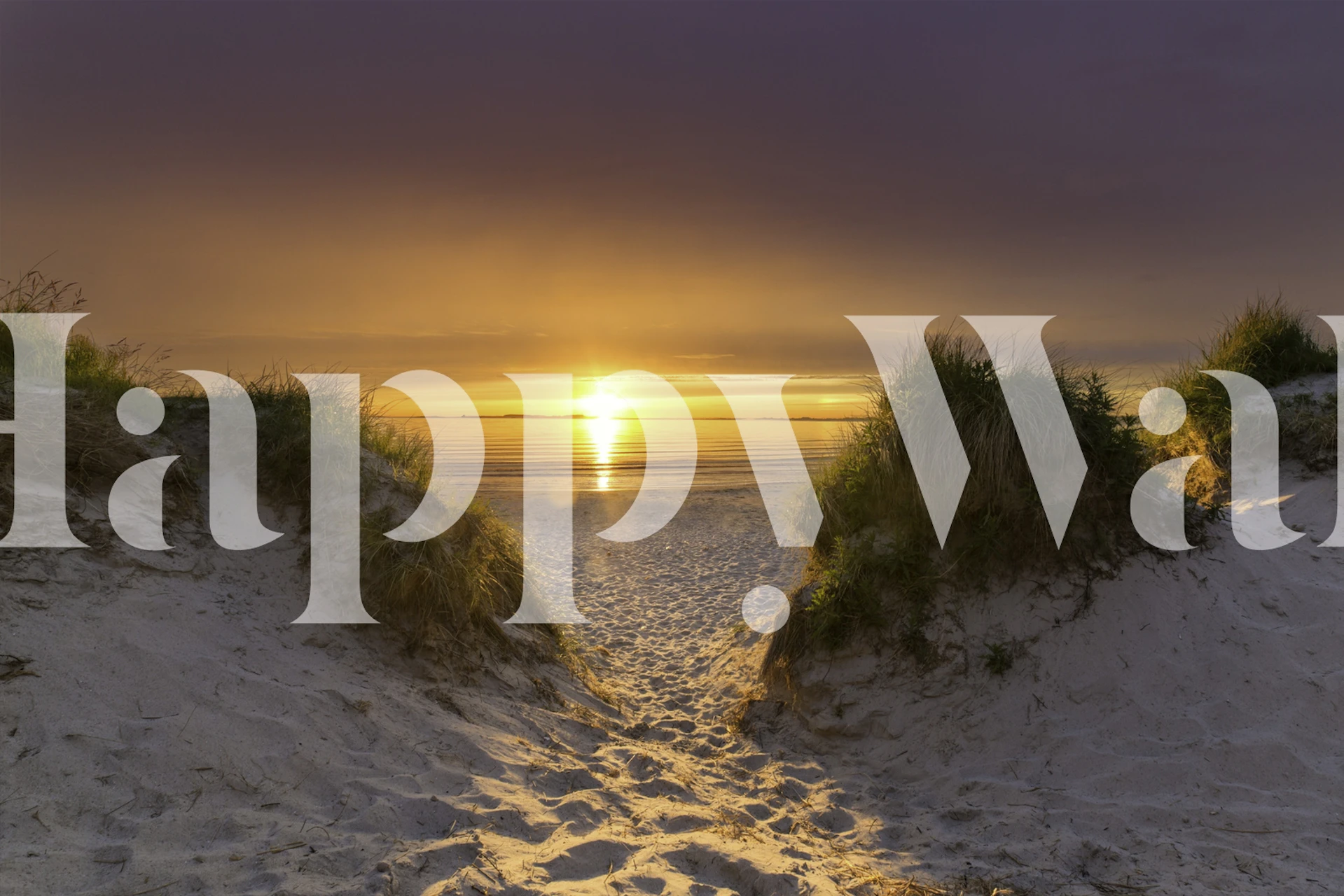 Sunset beach wall mural with sandy pathway leading through dunes to the sea