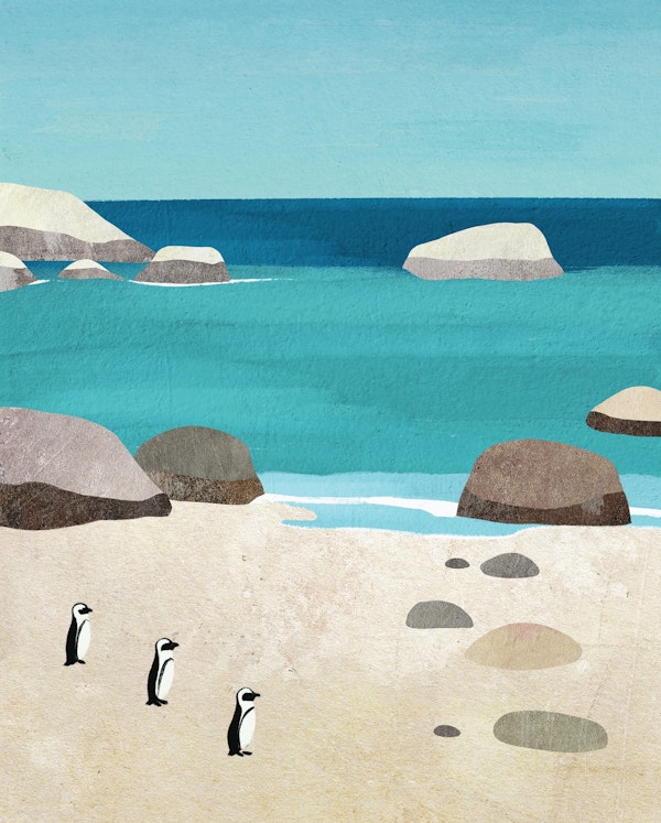 Penguin Beach