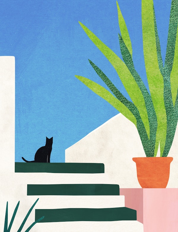 Cat in a Greek Villa