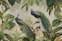 Majestic Peafowls In The Jungle And Vintage Typography behang