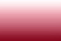 Rose Gradient tapete