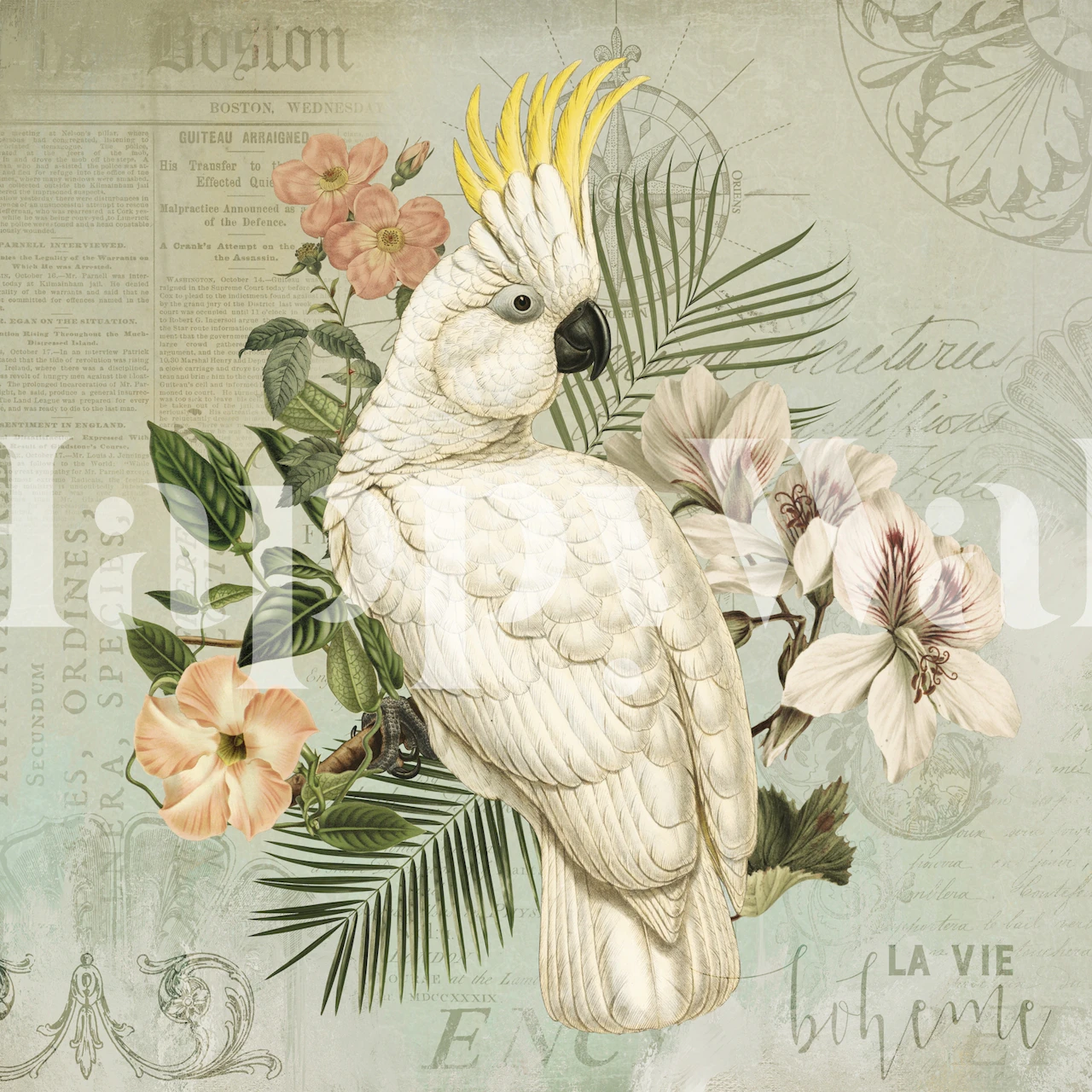 Cockatoo Vintage Nostalgia wallpaper in a room