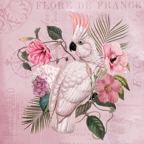 Cockatoo Vintage Nostalgia Pink