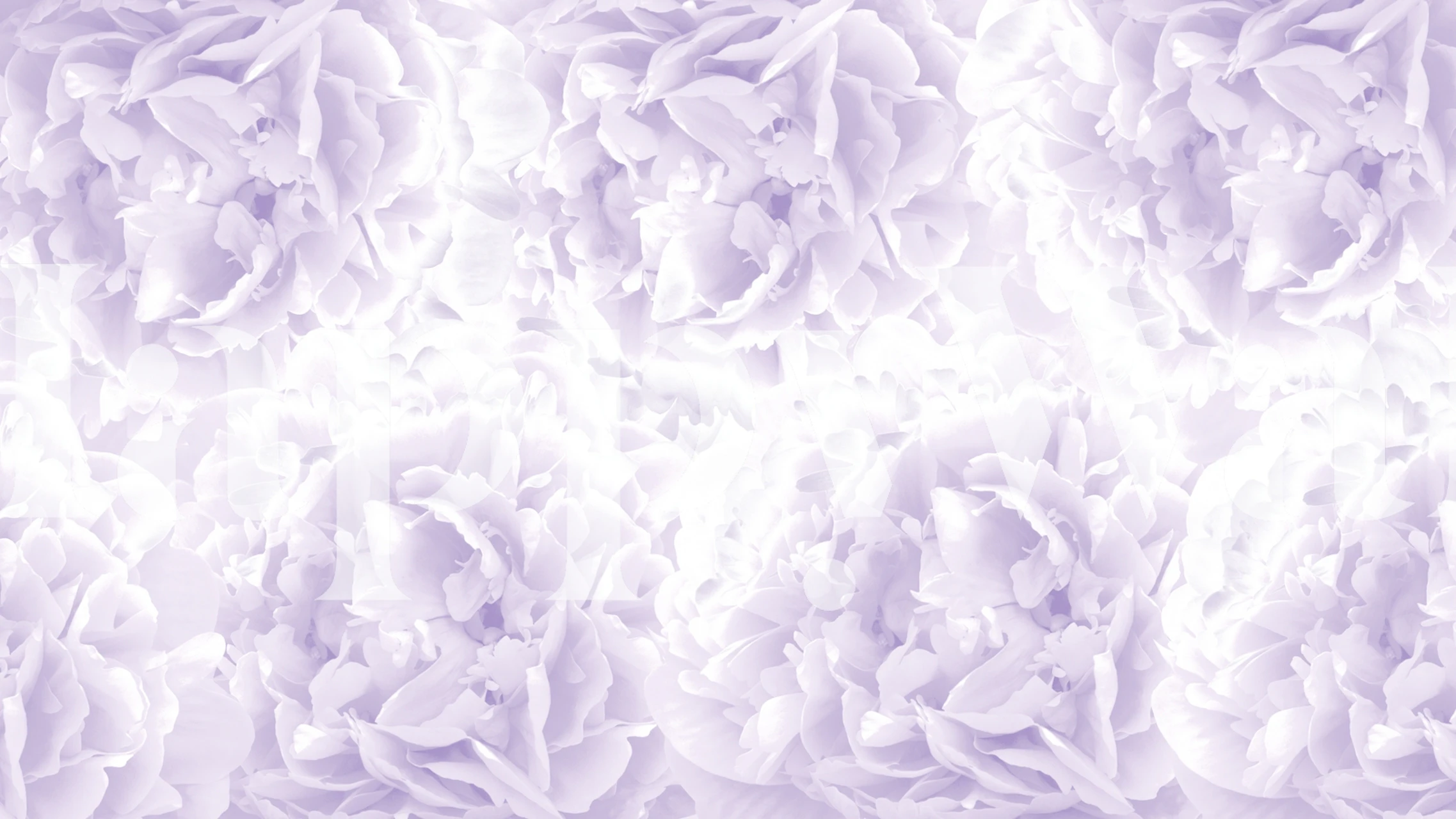 Lavender peonies floral wallpaper with soft purple shades