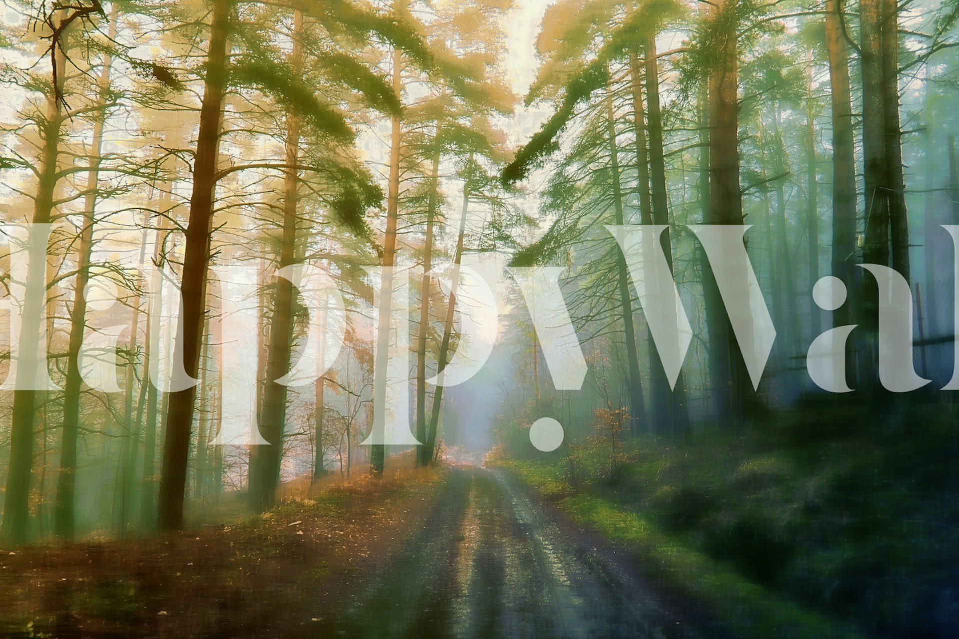 Fotomural de camino en el bosque brumoso con luz solar entrando a través de los árboles