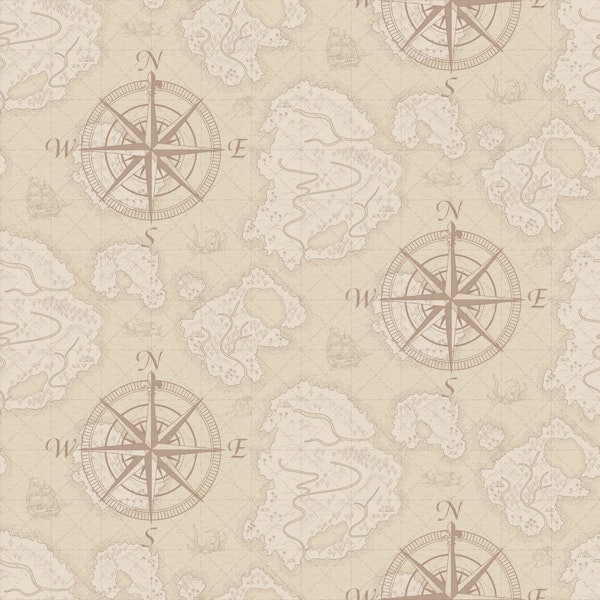 Classic Fantasy Vintage Map - Light Compass