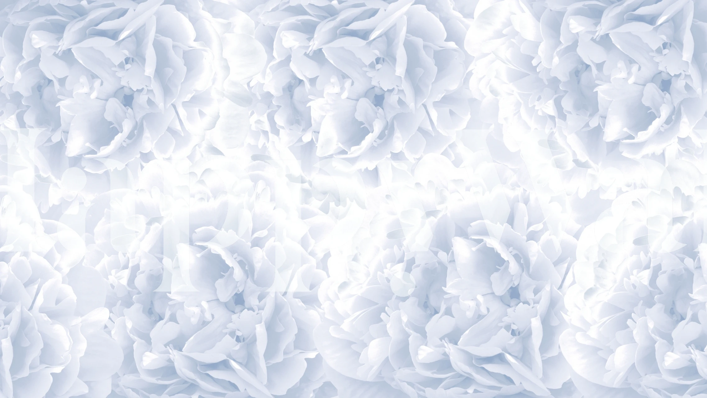 Soft blue peonies floral design wallpaper