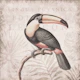 Toucans Tropical Hideaway Blush