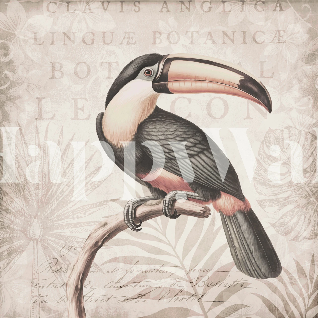 Toucans Tropical Hideaway Blush wallpaper in a room