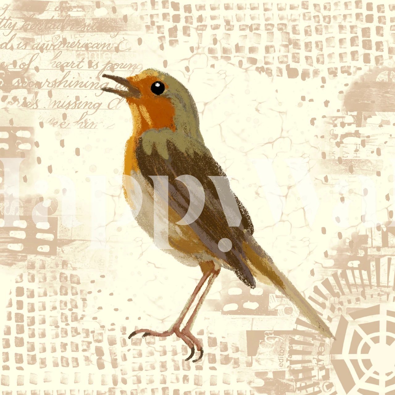 Cute robin bird wallpaper in a room