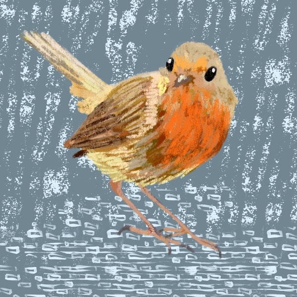 Cute Robin Bird 3