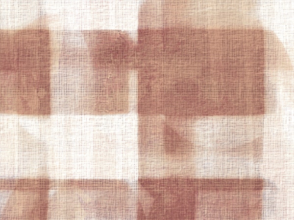 Neutral Japan Fabric