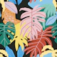 Tropical harmony