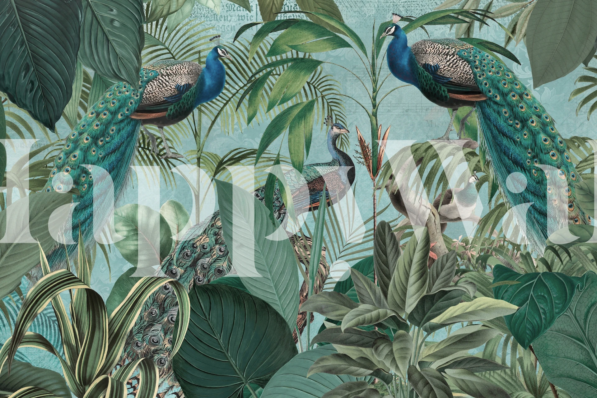 Peacocks Jungle Adventure tapet i et rom