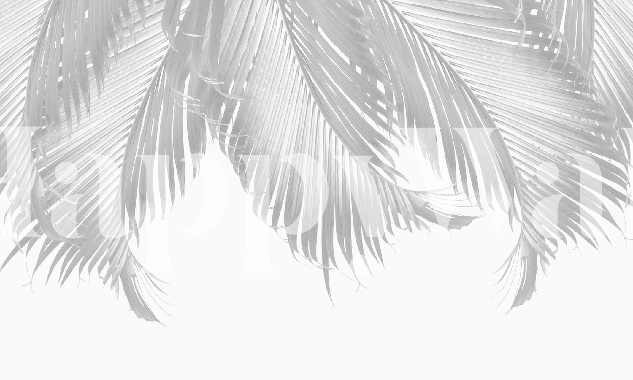 Palm Leaves Finesse 5 Tapete in einem Raum