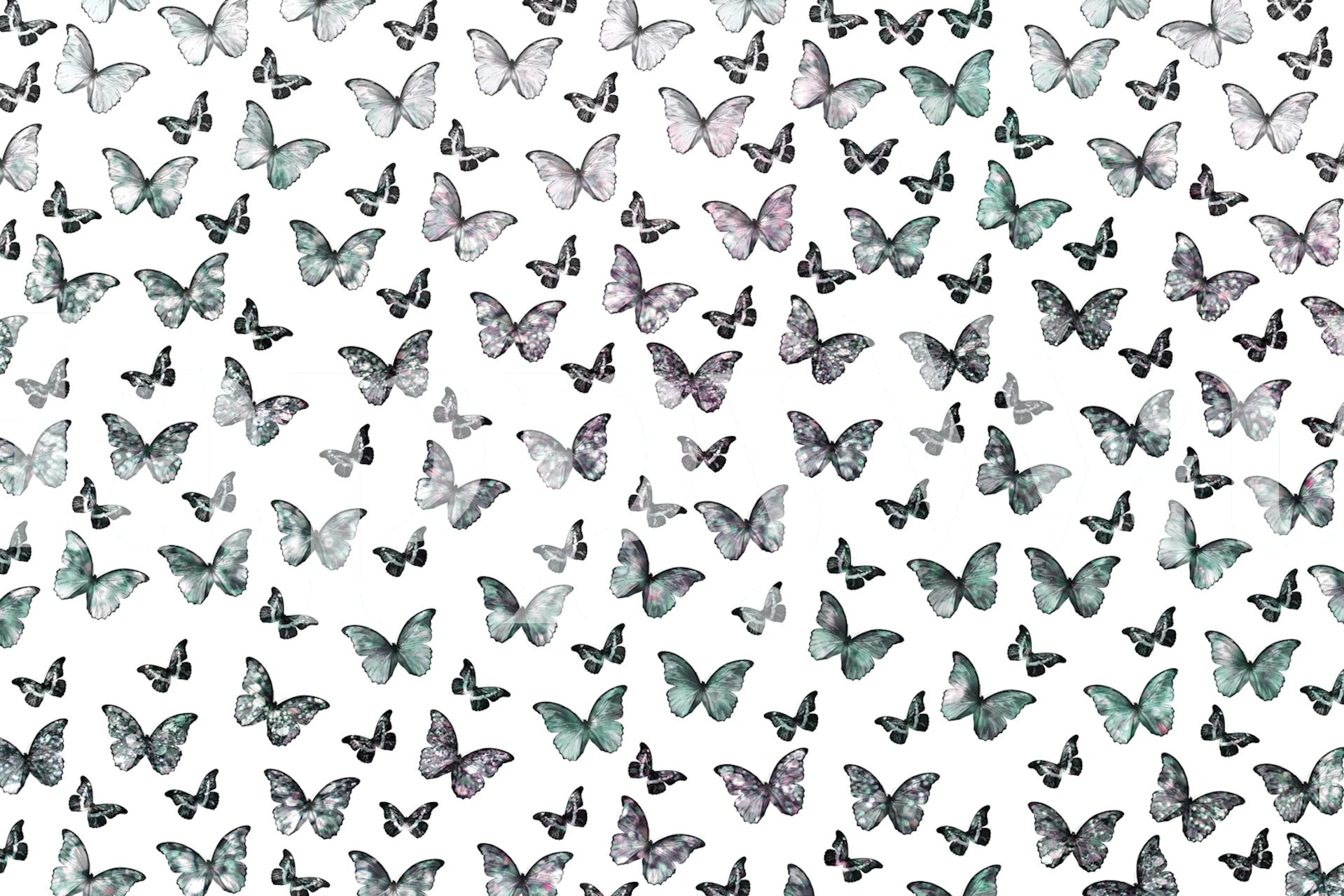 Iridescent butterflies in pastel colors on white wallpaper