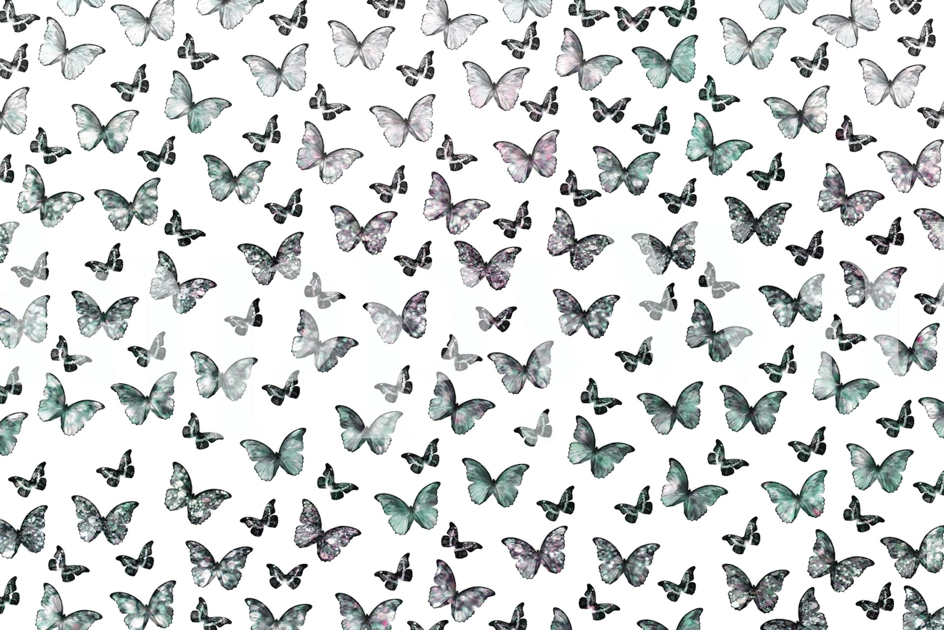 Iridescent butterflies in pastel colors on white wallpaper