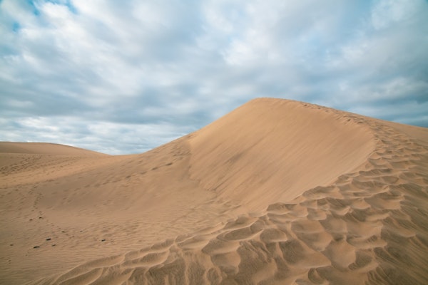 Follow me into the Desert 2