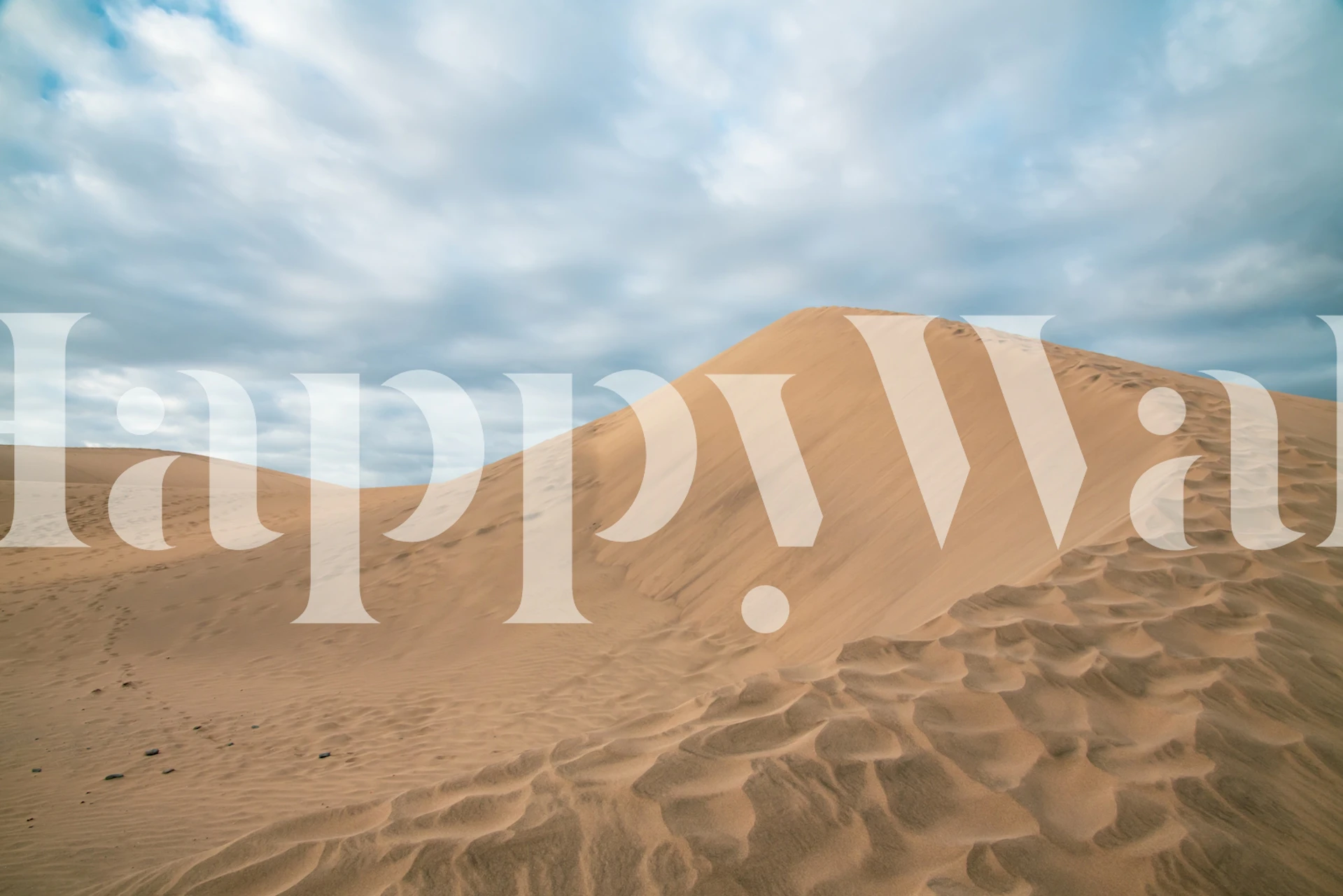 Desert sand dune landscape with soft brown and blue tones wallpaper