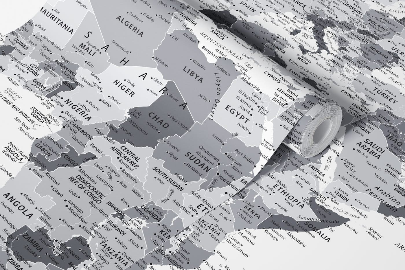 World Map Highly Detailed Grey wallpaper roll