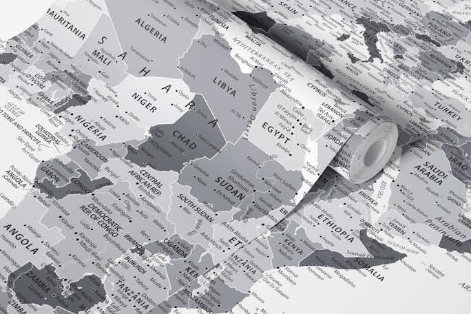 World Map Highly Detailed Greywallpaper roll