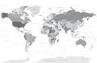 World Map Highly Detailed Grey carta da parati
