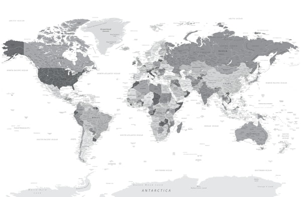 World Map Highly Detailed Grey