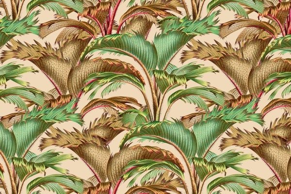 Tropical Forest Pastel Color