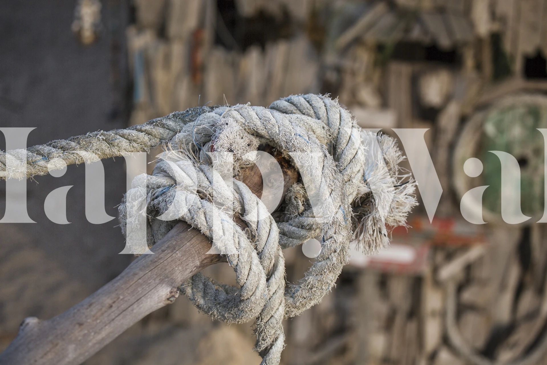 Vintage-style wall mural featuring an old, textured rope for a maritime theme