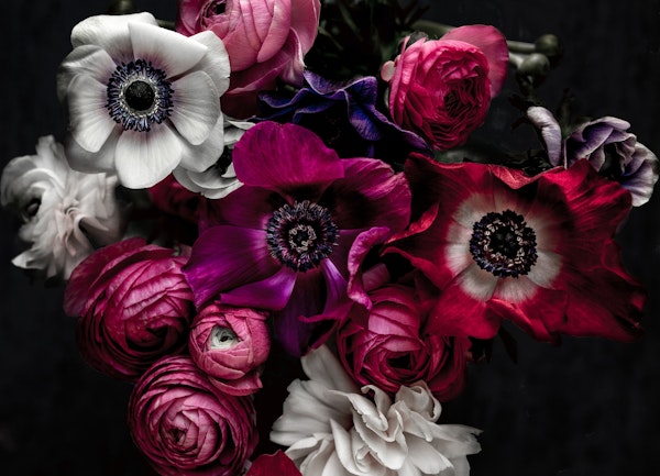 Dark Flowers 1