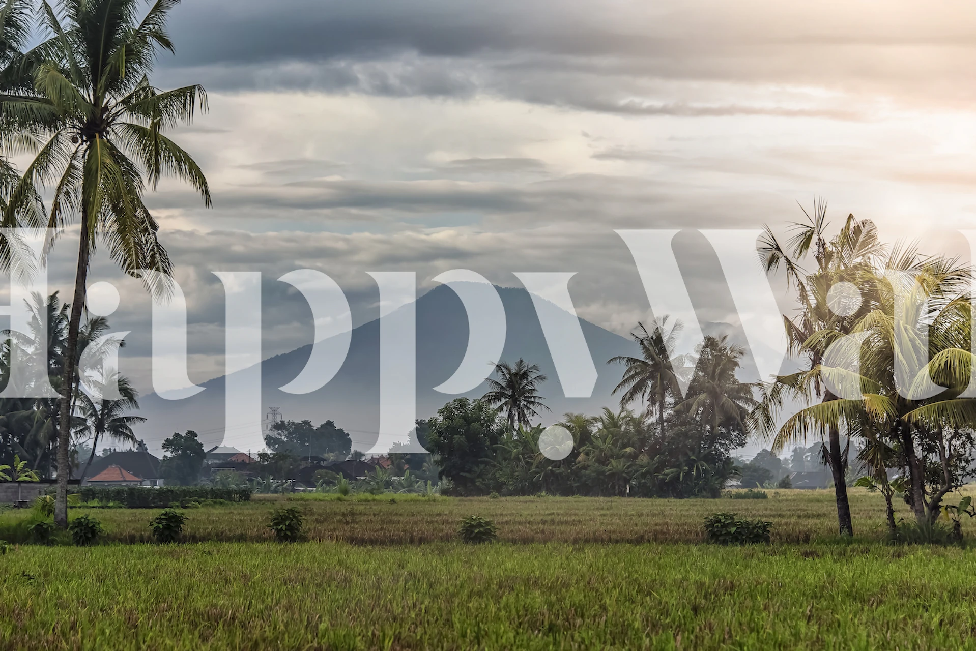 Papel pintado Bali Landscape en una habitación