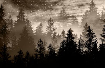 Τοιχογραφία