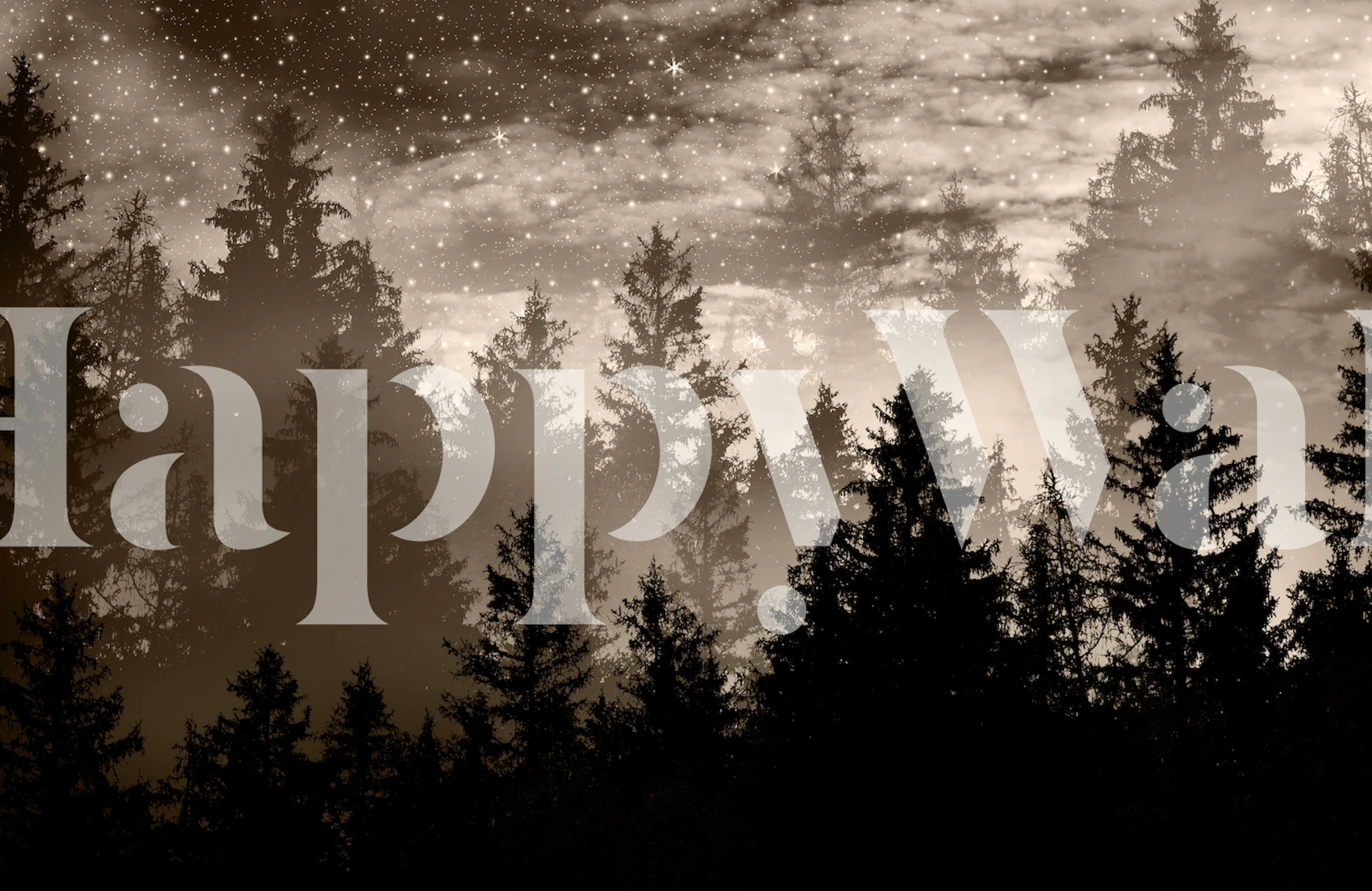 Silhouette of black forest trees against a starry sky wallpaper