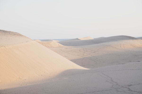 Follow me into the Desert 3