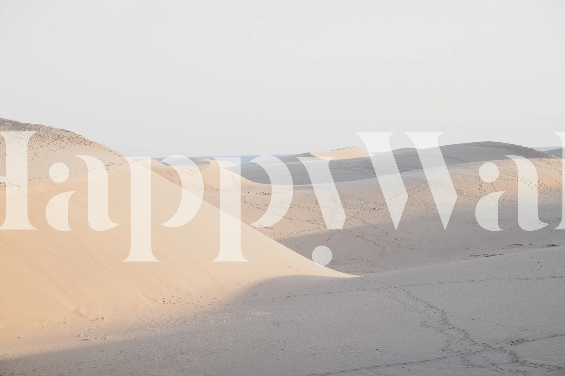 Tranquil desert scene wall mural with soft dunes and subtle shading