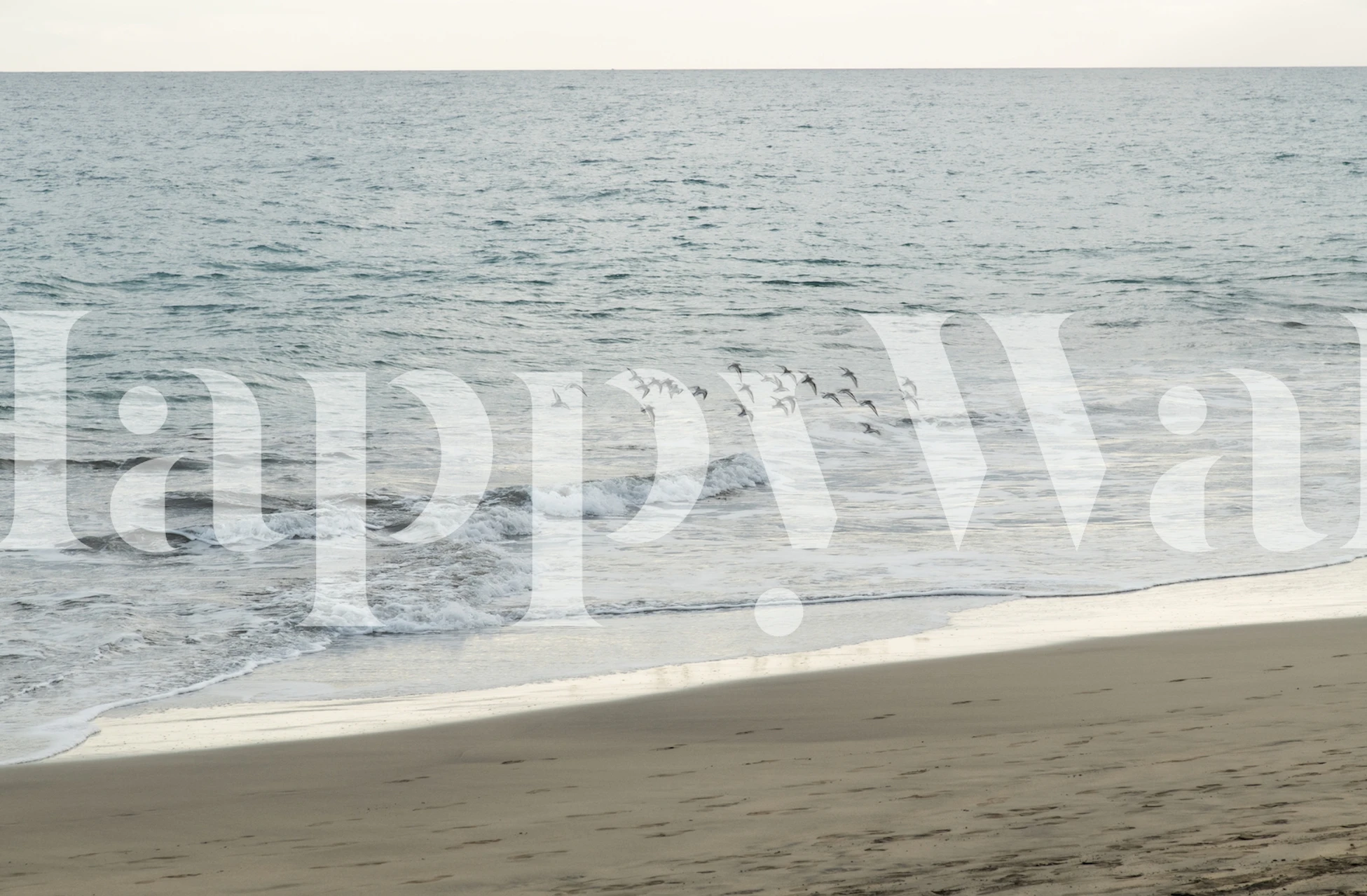 Een rustige scène van vogels die over de Atlantische Oceaan vliegen op een fotobehang met strandthema