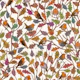 Robin Birds in Fall 1