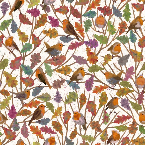 Robin Birds in Fall 1