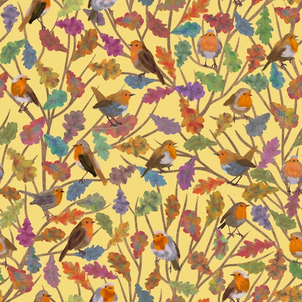 Robin Birds in Fall 2