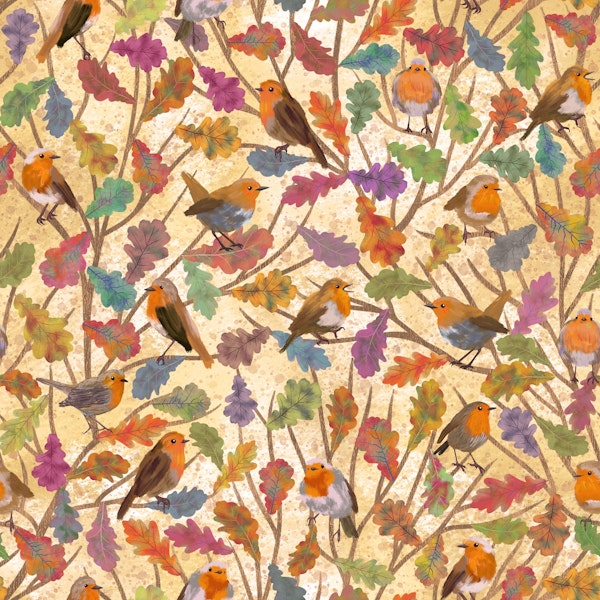 Robin Birds in Fall 3