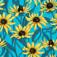 Yellow Rudbekia on blue tapet