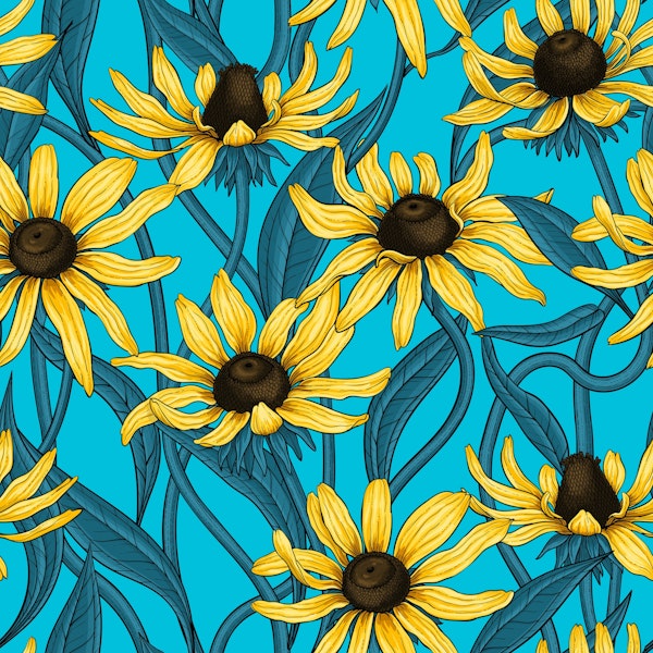 Yellow Rudbekia on blue